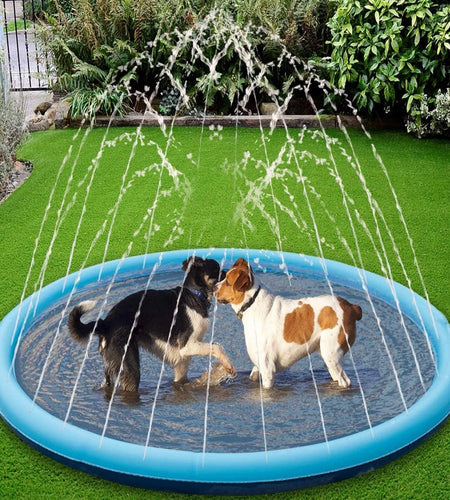 S525ce65e2e2c43a59284badf0a17405ae