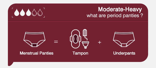 Load image into Gallery viewer, Menstrual Panties Women Leak proof Menstrual Period Underwear Ice Silk Menstruation Panties Menstrual Cycle Absorbent Underwear

